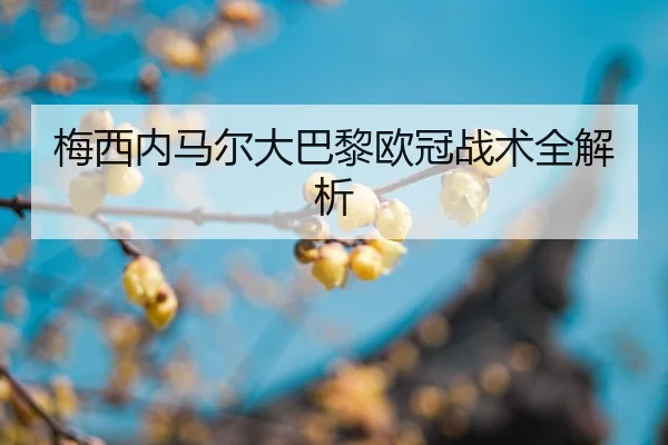 mei-xi-nei-ma-er-da-ba-li-ou-guan-zhan-shu-quan-jie-xi-2-165.jpg
